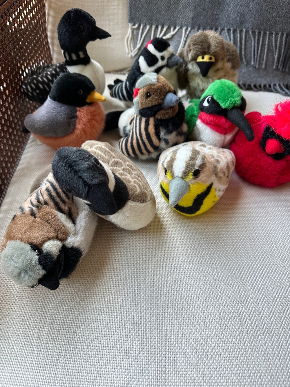 Set of 10 Singing Audubon Plush Bird Stuffed Animals